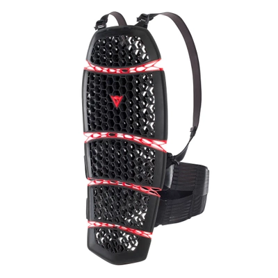 Protektor pleców typu żółw Dainese Pro-Armor 2.0