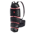 Protektor pleców typu żółw Dainese Pro-Armor 2.0